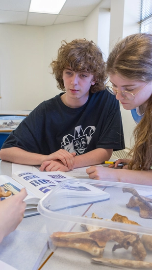 Students studying bones on a table in the Rubin and Depow Summer Study Program