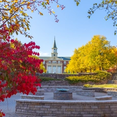 red and yellow trees on campus