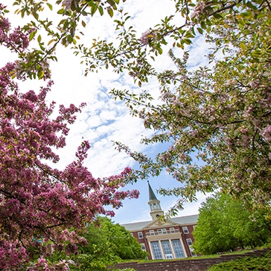 George Martin Hall spring blooms