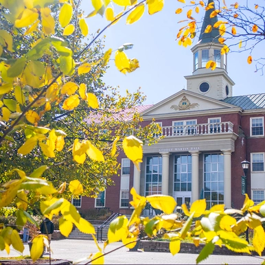 George Martin Hall with yellow leaves in the foreground