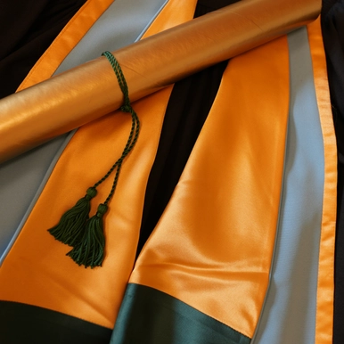 Black gown with blue hood and diploma