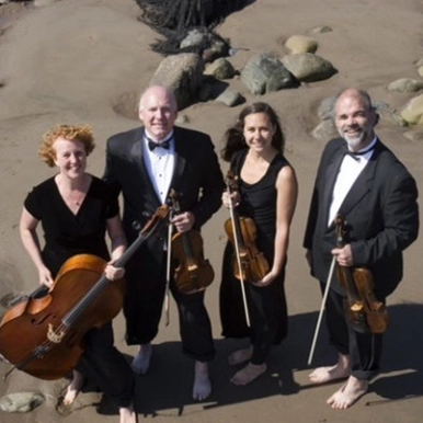 SJ String Quartet standing on a beach