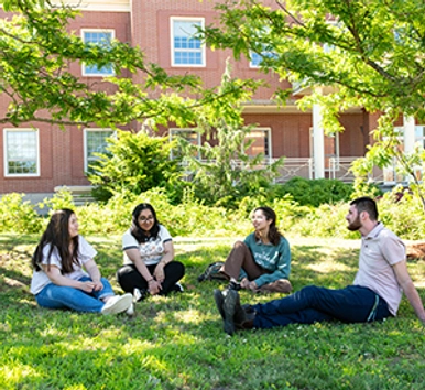 Students sitting on lawn