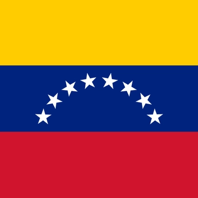 Venezuelan Flag