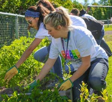 Volunteer Board Badge