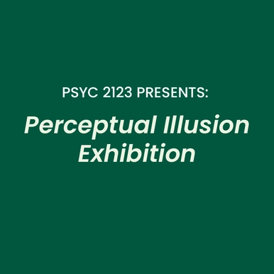 Perception Exhibition