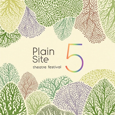 Plain Site Festival 5 graphic