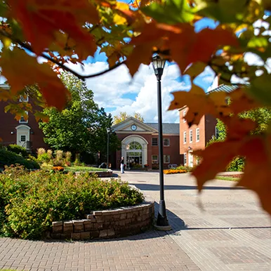 Campus in the fall - orange leaves in foreground and campus buildings in background