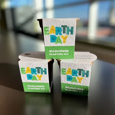 Earth Day Seed Boxes
