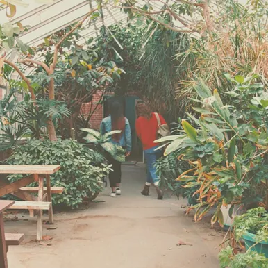 Photo of students going into building