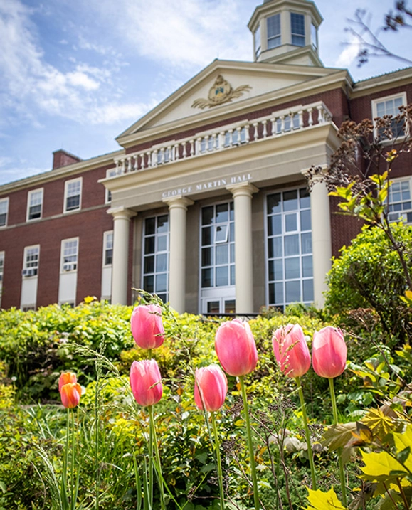 Tulips blooming in front of GMH