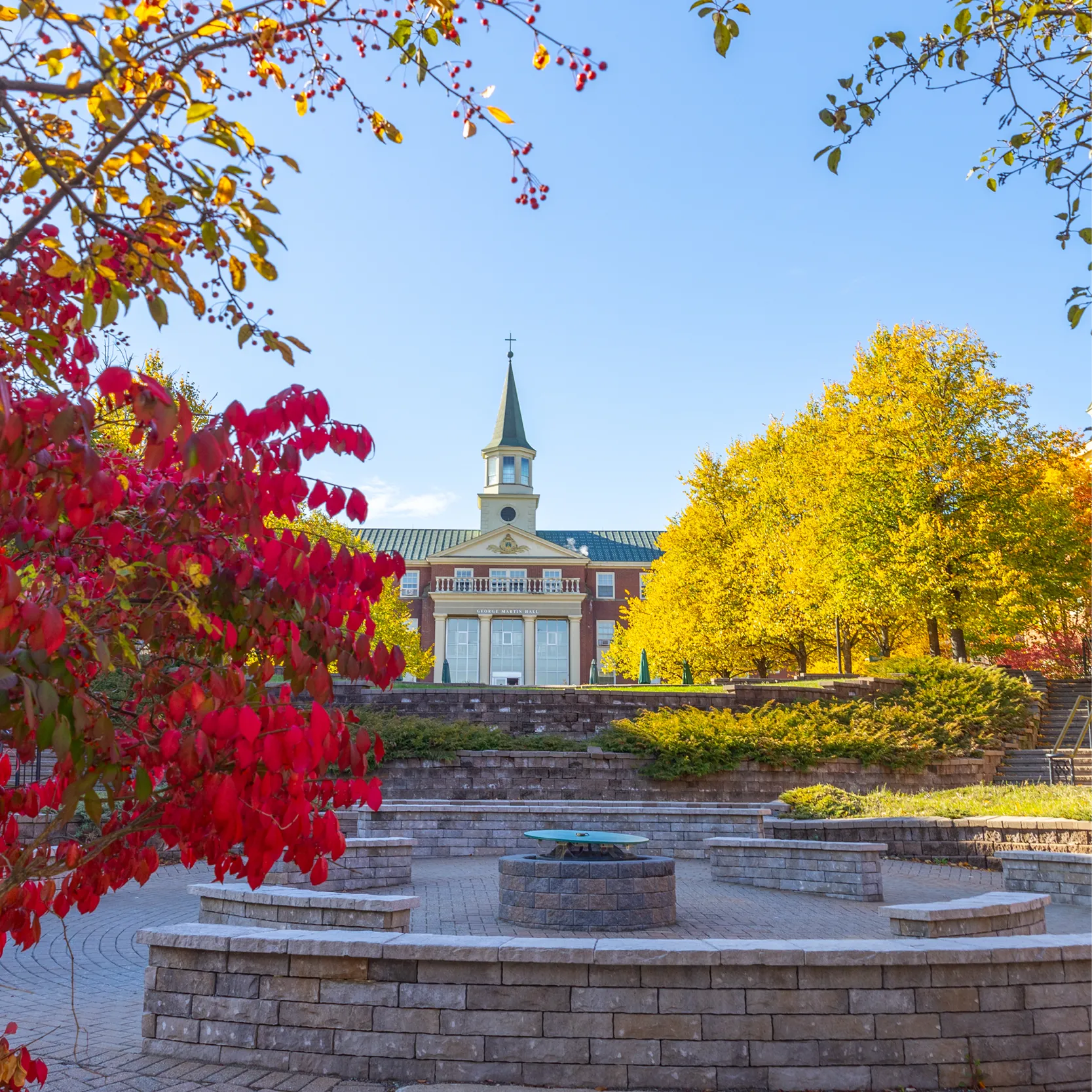 red and yellow trees on campus