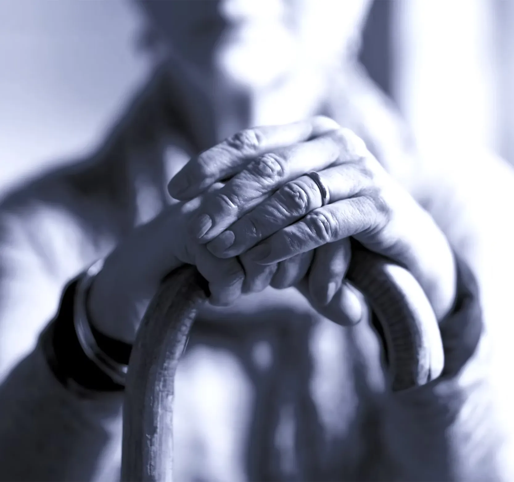 Persons hands on cane