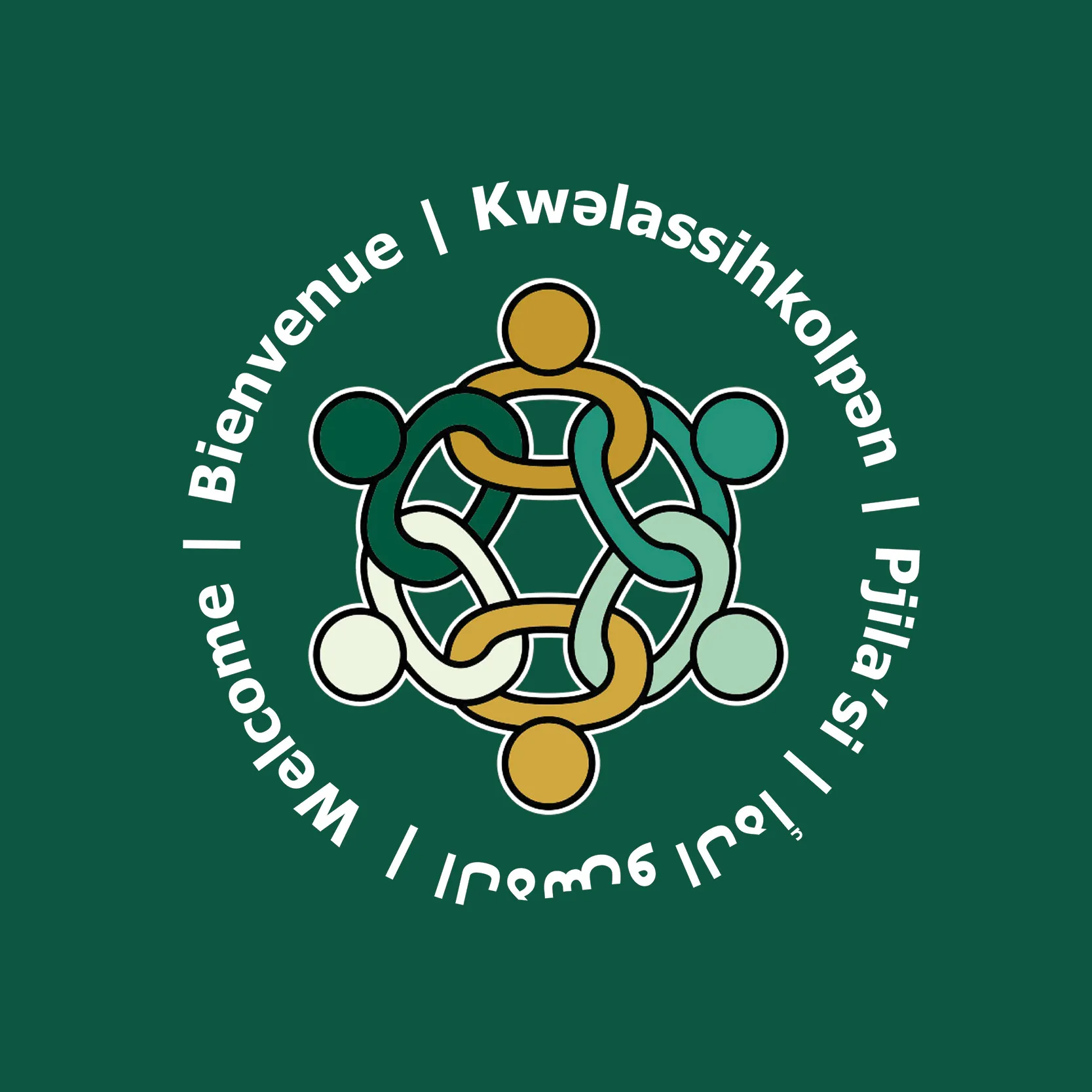 Racialized Youth Summit