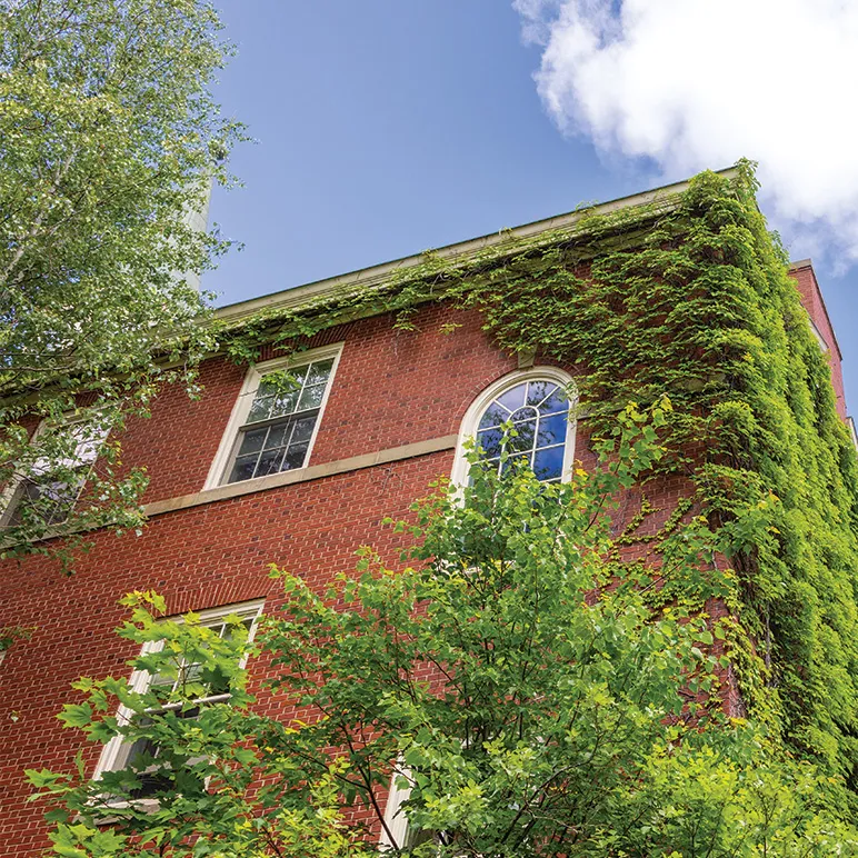 campus with vines growing on the brick building