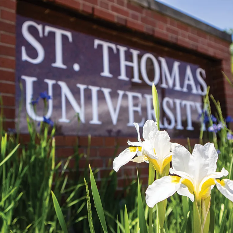 the outside stu sign in brick with flowers (�ǿմ�ý)