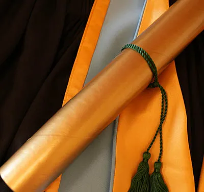 Education Gown and Hood